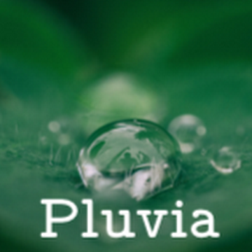 Profile photo of Nguyên Hoàng