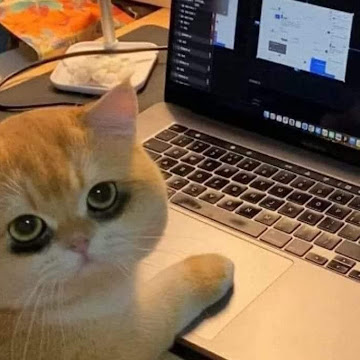 Profile photo of 61TH1