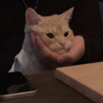 Profile photo of Jamie Nguyen