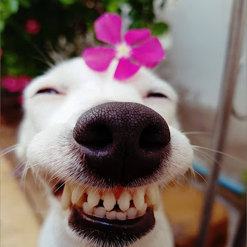 Profile photo of Umaski